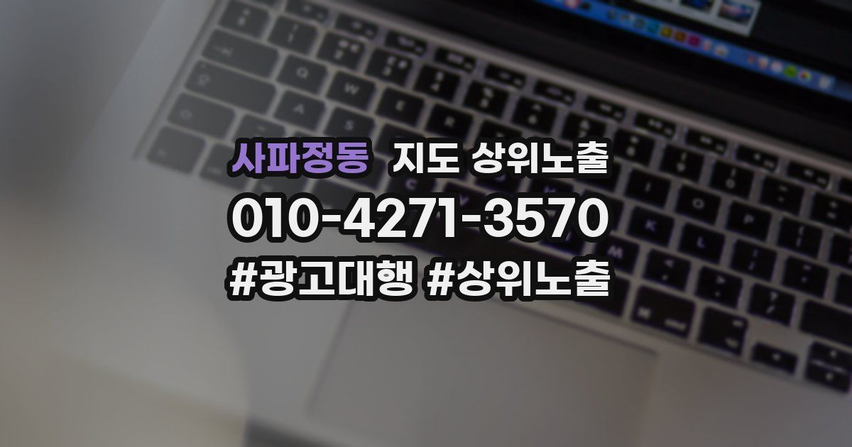 사파정동 지도 상위 노출