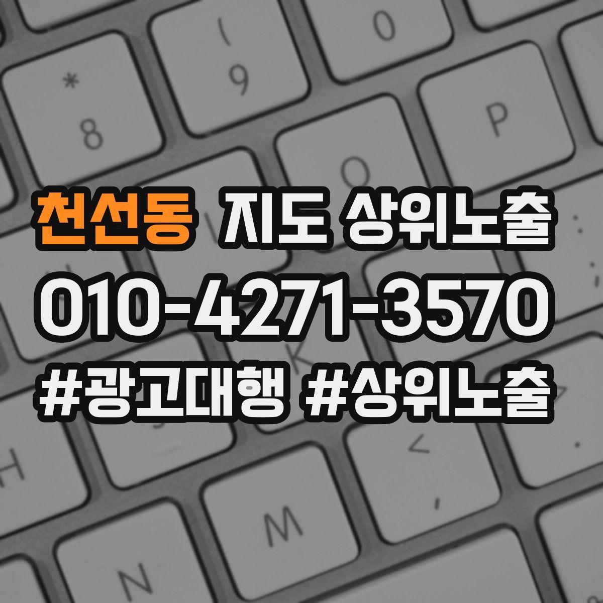 천선동 지도 상위 노출