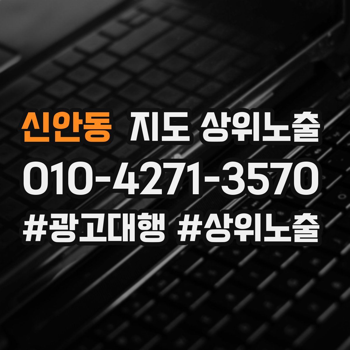 신안동 지도 상위 노출