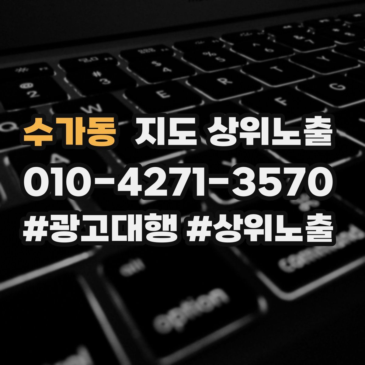 수가동 지도 상위 노출