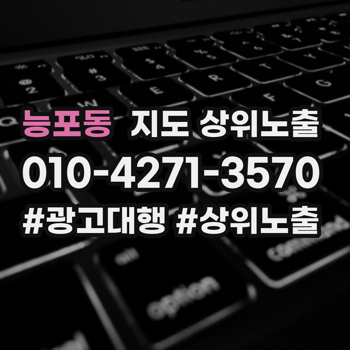 능포동 지도 상위 노출