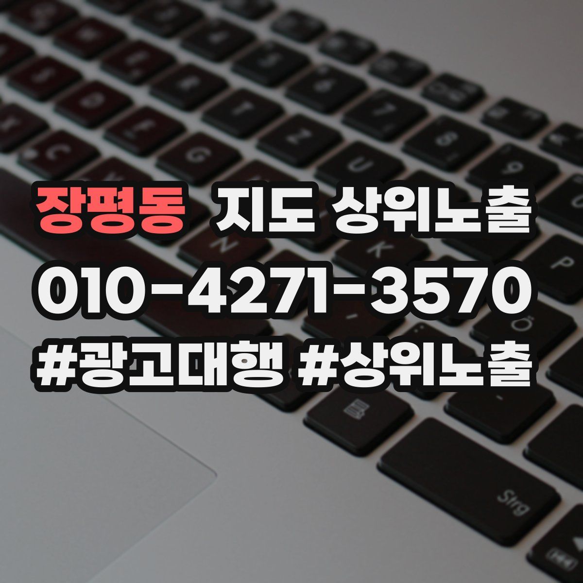 장평동 지도 상위 노출