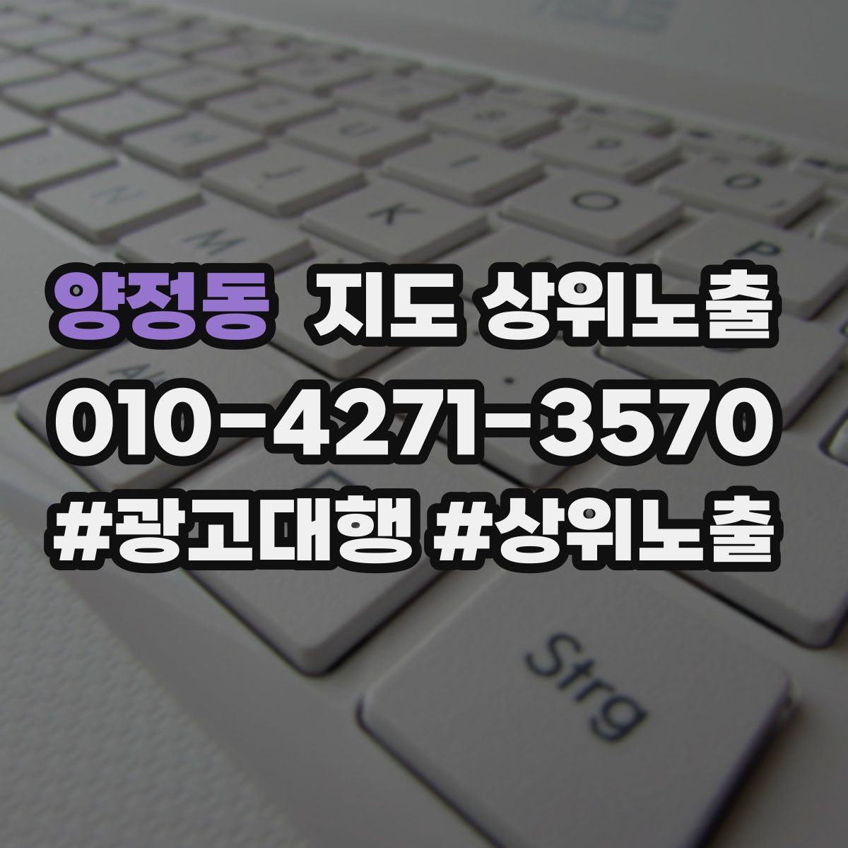 양정동 지도 상위 노출