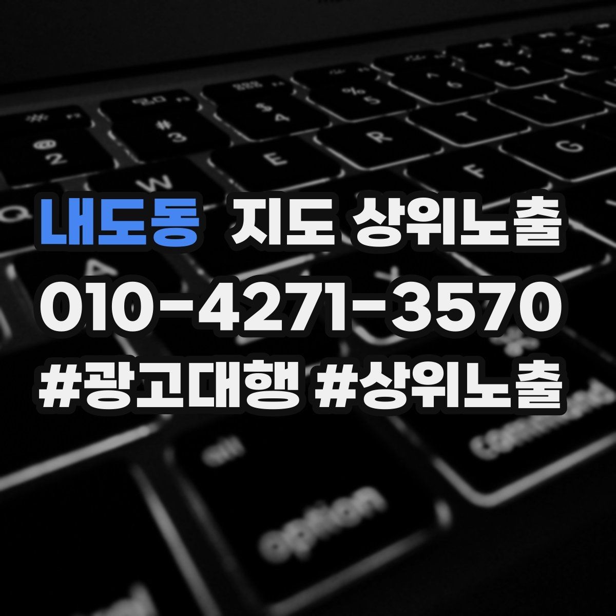 내도동 지도 상위노출 개선은 1개씩 해야 결과가 보인다