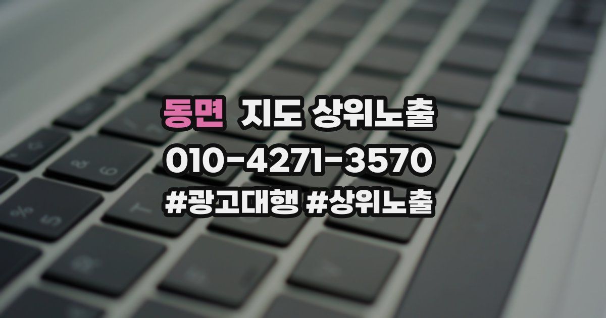 동면 지도 상위 노출