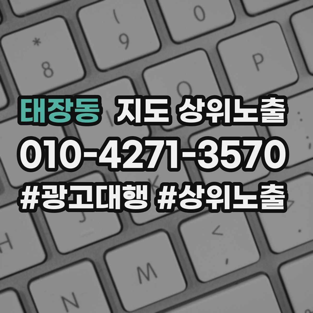 태장동 지도 상위노출 전화 버튼이 잘 먹히는 업종 특징