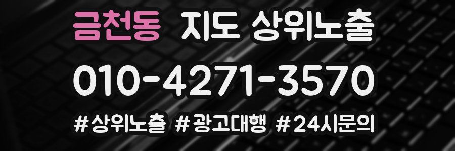 금천동 지도 상위 노출