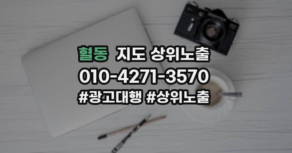혈동 지도 상위 노출