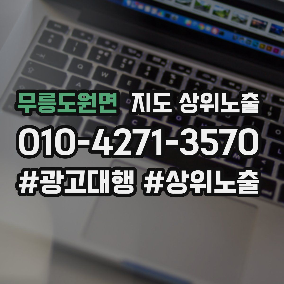 무릉도원면 지도 상위 노출