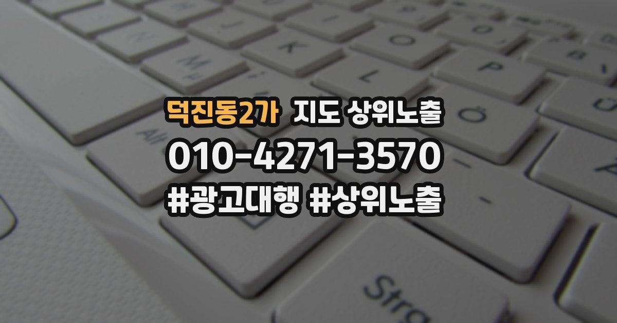 덕진동2가 지도 상위 노출