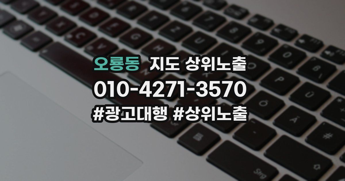 오룡동 지도 상위 노출