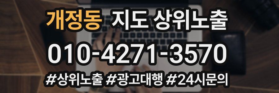 개정동 지도 상위 노출