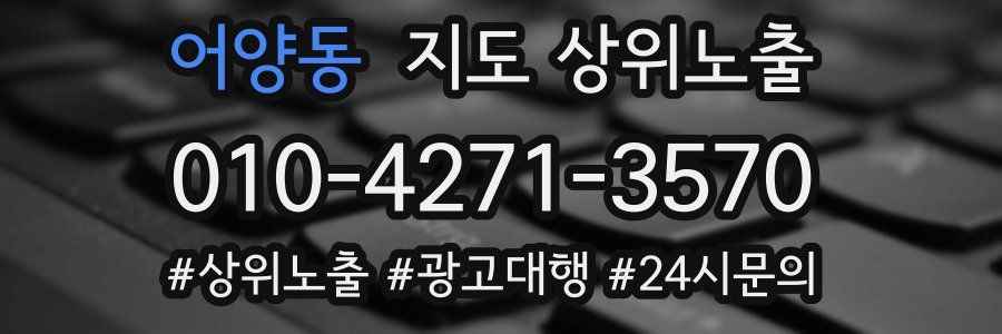 어양동 지도 상위 노출