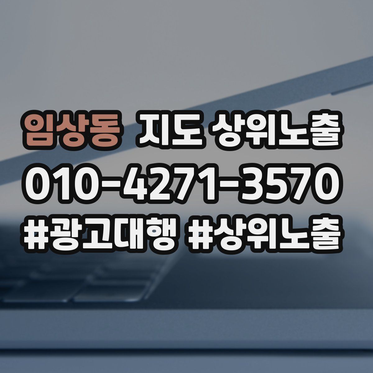 임상동 지도 상위 노출