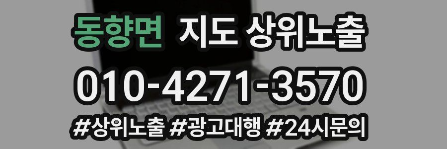 동향면 지도 상위 노출