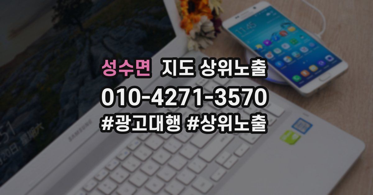 성수면 지도 상위 노출