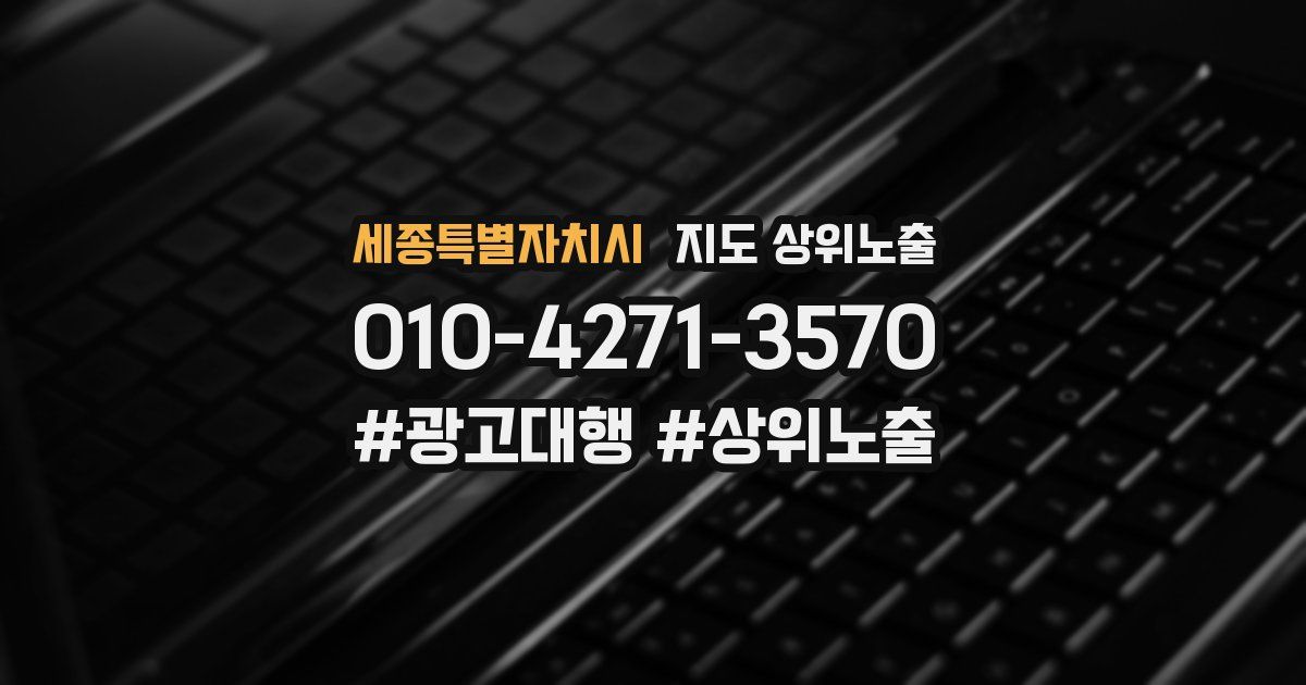 세종특별자치시 지도 상위 노출