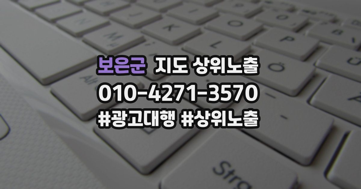 보은군 지도 상위 노출