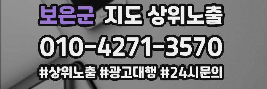 보은군 지도 상위 노출