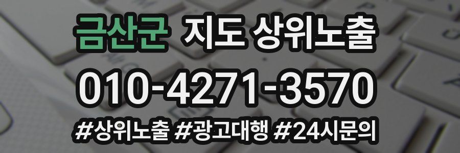 금산군 지도 상위 노출