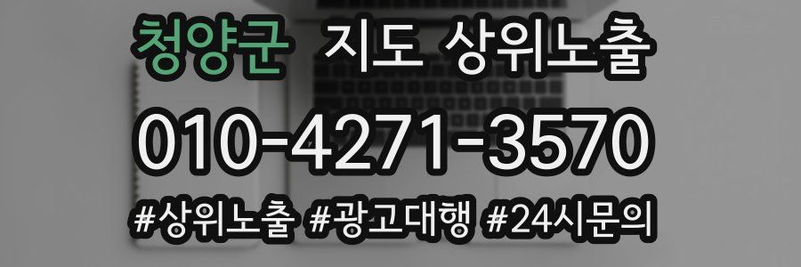 청양군 지도 상위 노출