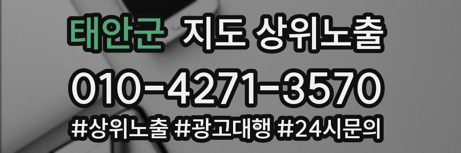 태안군 지도 상위 노출