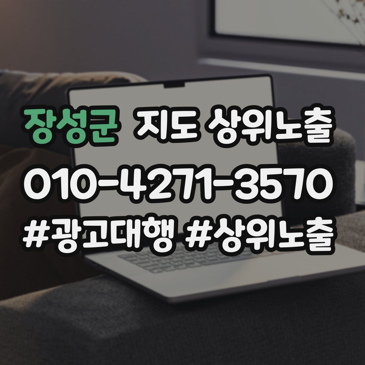 장성군 지도 상위 노출