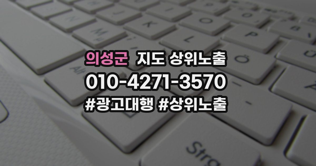 의성군 지도 상위 노출