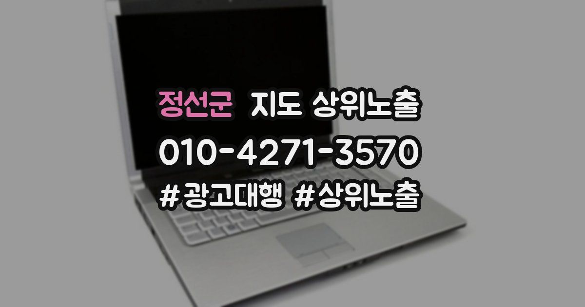 정선군 지도 상위 노출