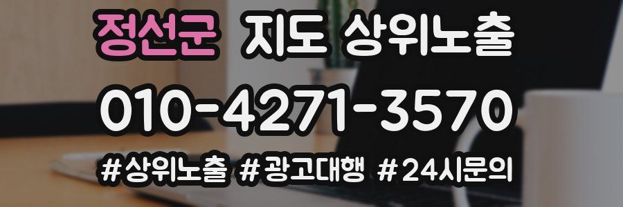 정선군 지도 상위 노출