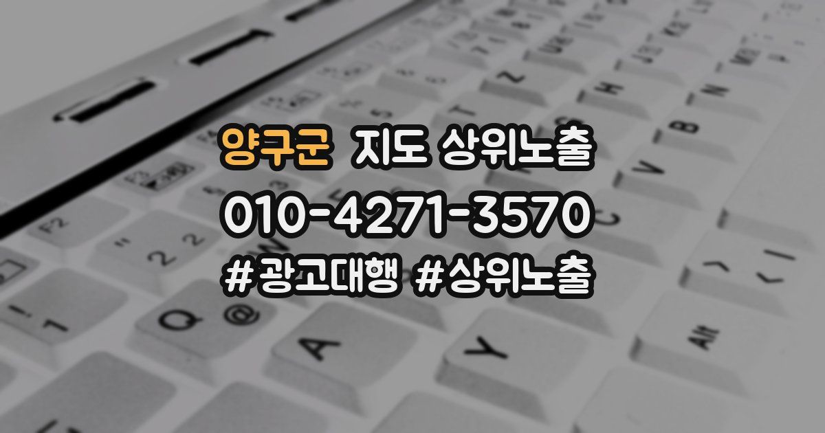 양구군 지도 상위 노출