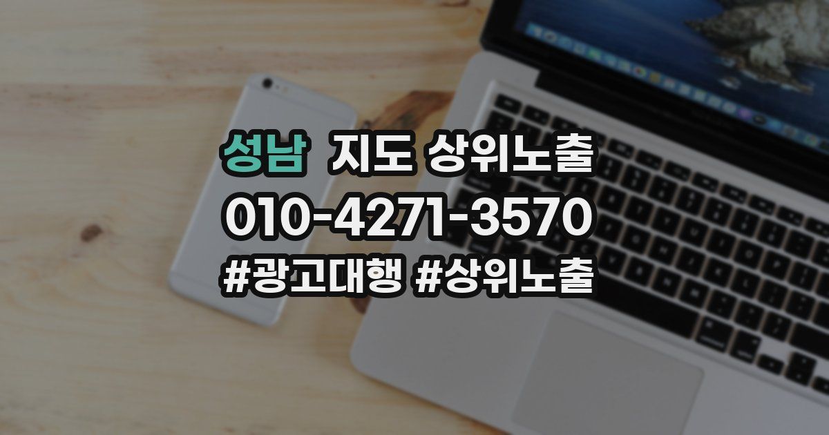 성남 지도 상위 노출