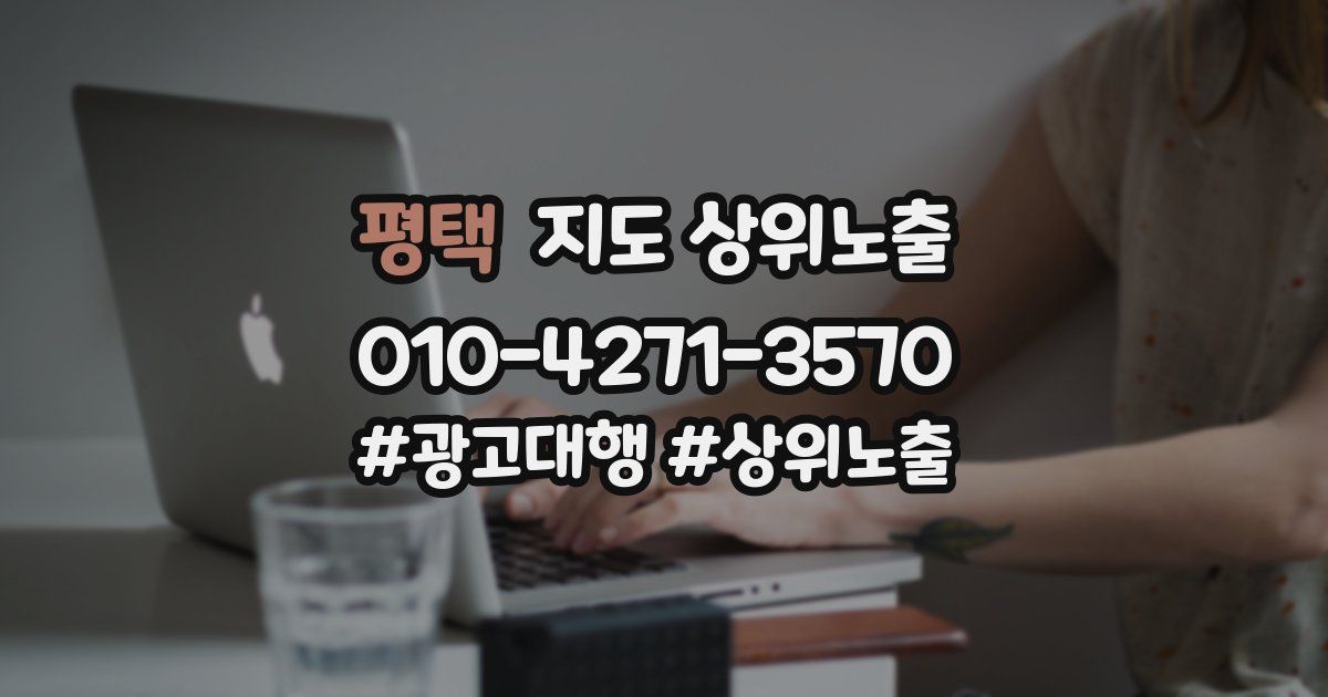 평택 지도 상위 노출