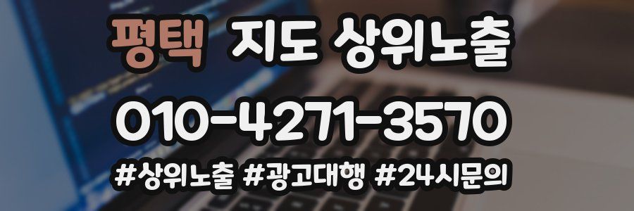 평택 지도 상위 노출