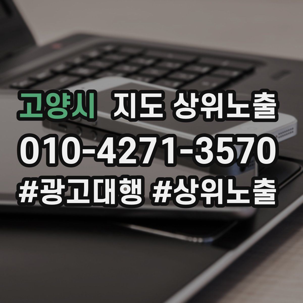 고양시 지도 상위 노출