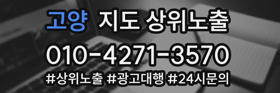 고양 지도 상위 노출