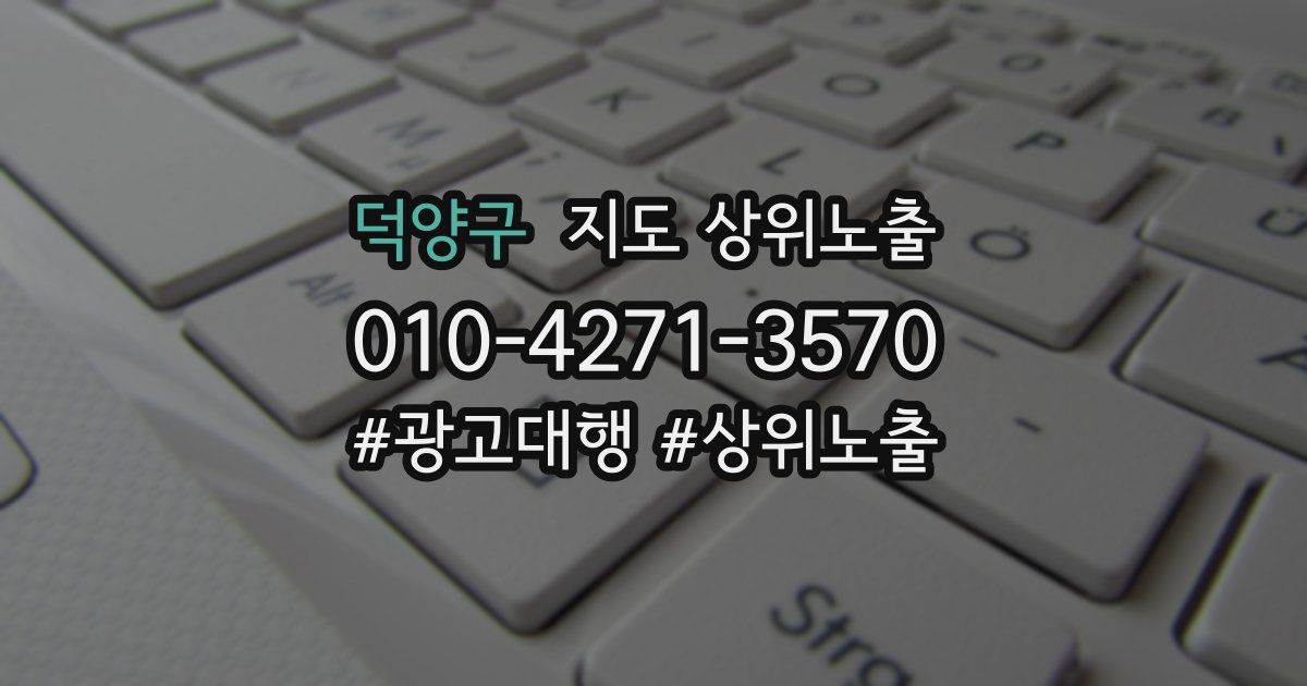 덕양구 지도 상위 노출