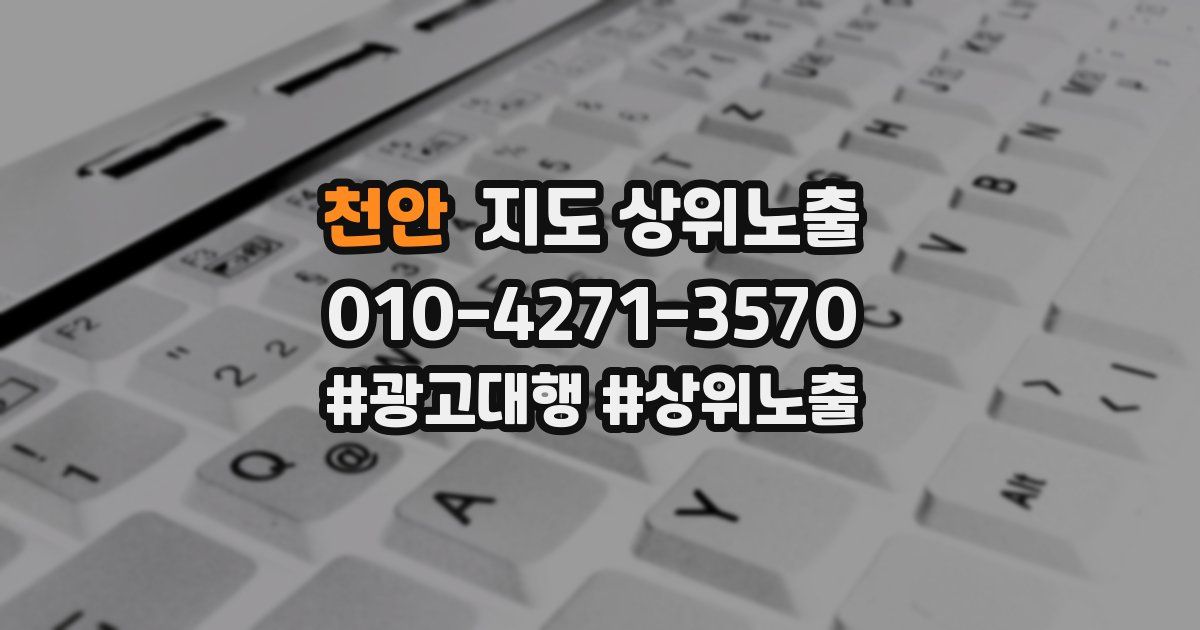 천안 지도 상위 노출