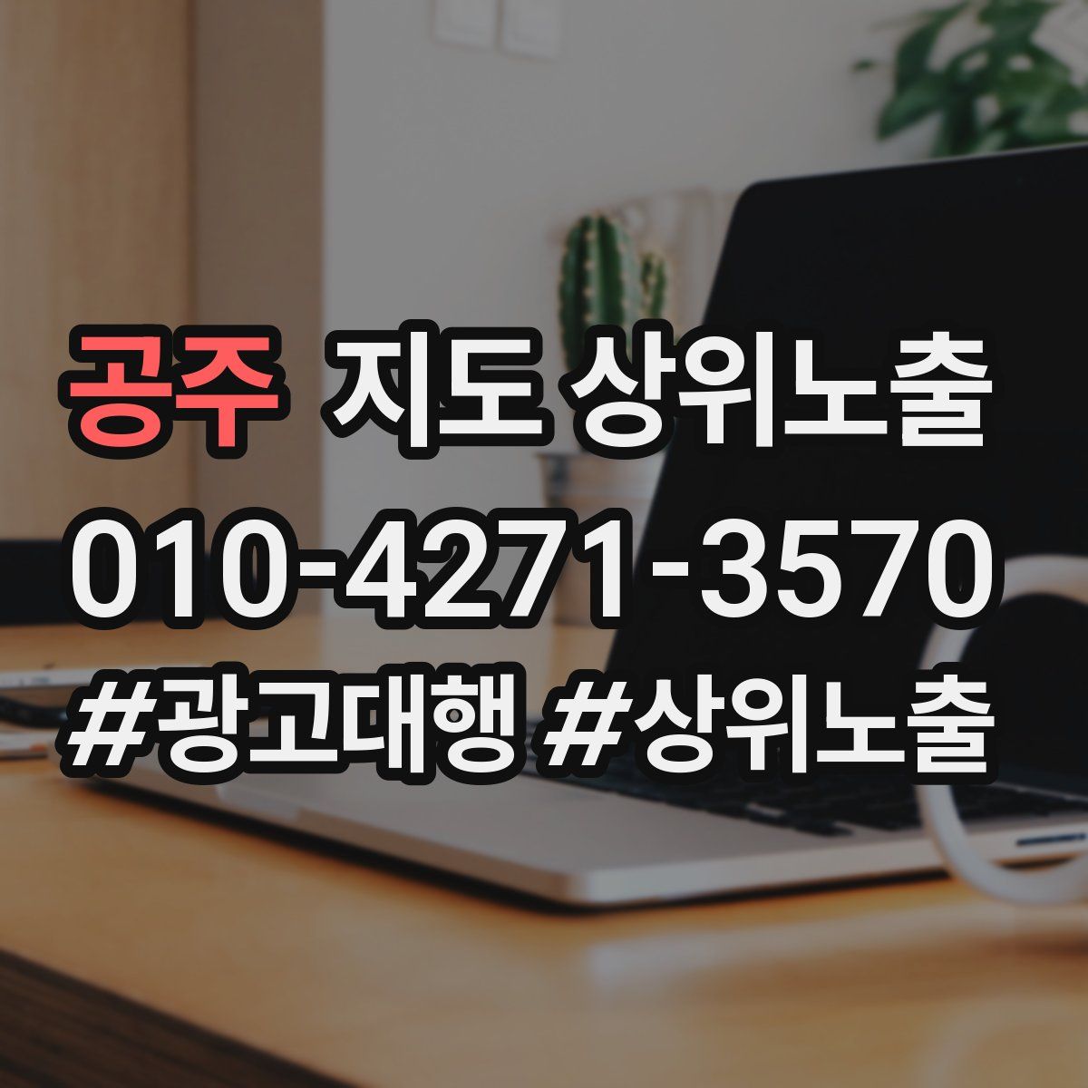 공주 지도 상위 노출