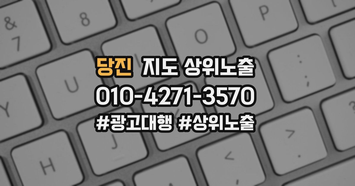 당진 지도 상위 노출
