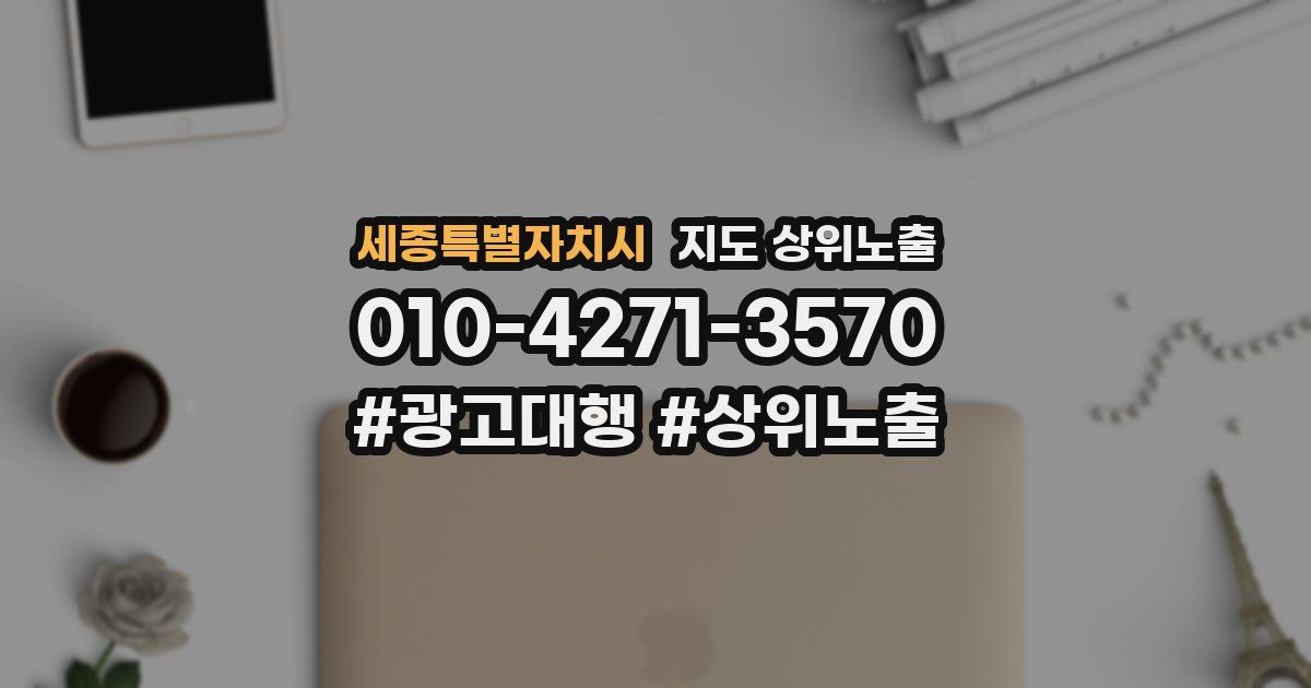 세종특별자치시 지도 상위 노출