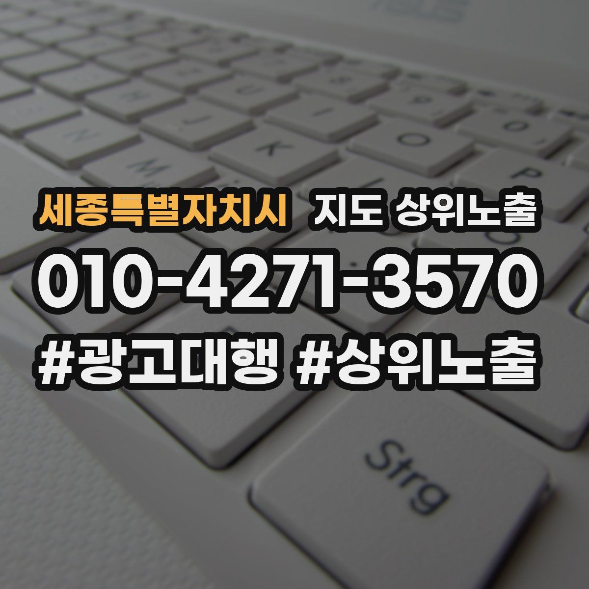 세종특별자치시 지도 상위 노출
