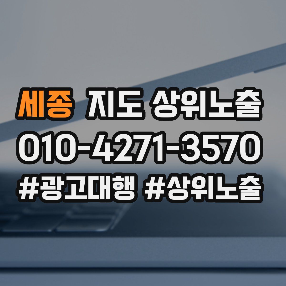 세종 지도 상위 노출