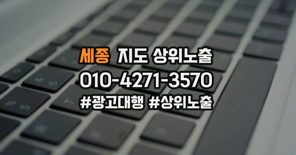 세종 지도 상위 노출