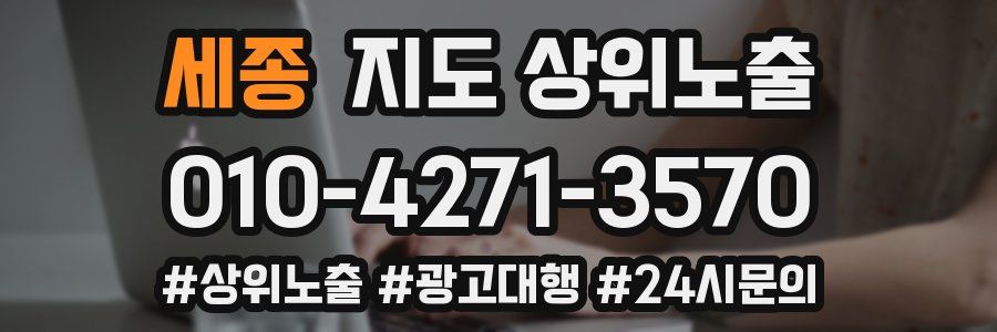 세종 지도 상위 노출