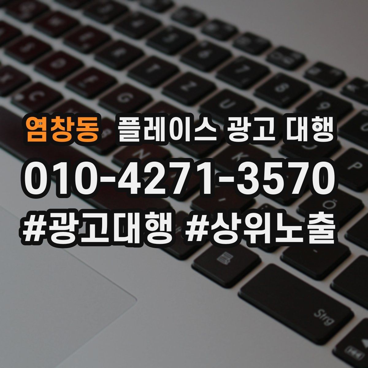 염창동 플레이스 광고 대행 성과가 잘 나는 업종의 특징