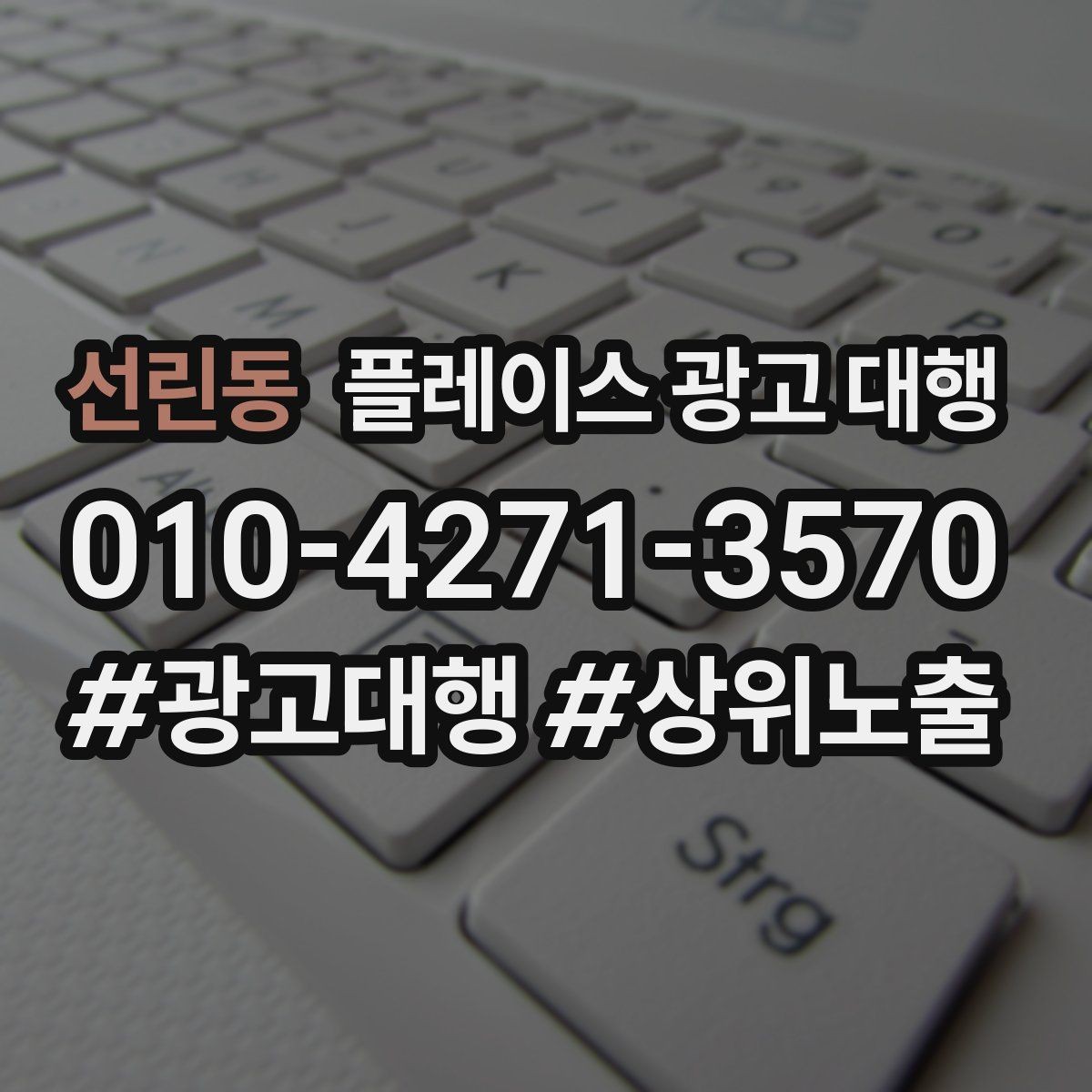선린동 플레이스 광고 대행 일정과 진행 방식 안내