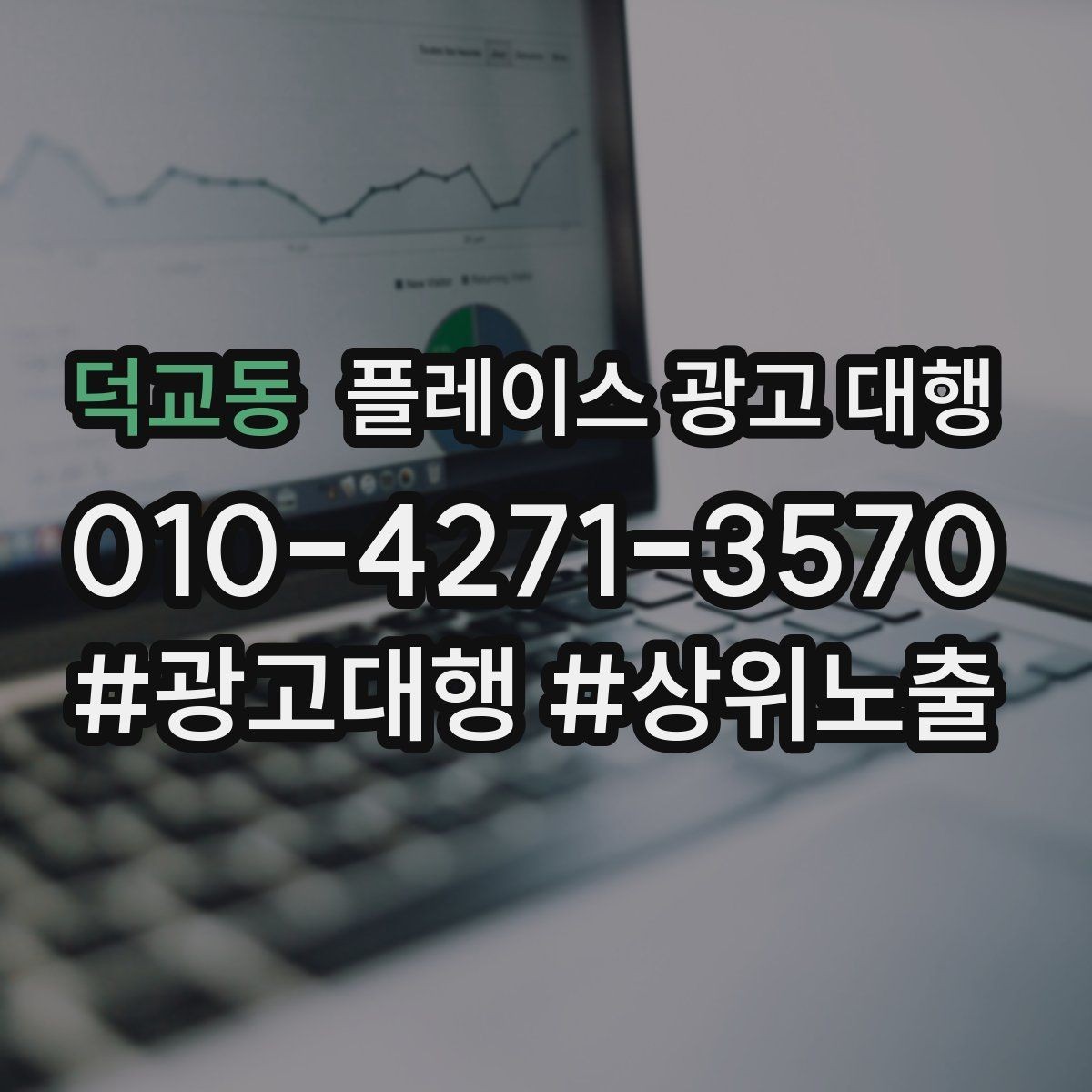 덕교동 플레이스 광고 대행 업체별 서비스 범위 살펴보기