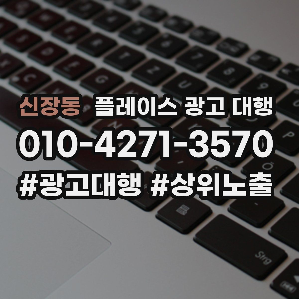 신장동 플레이스 광고 대행 운영 사례로 보는 참고 포인트