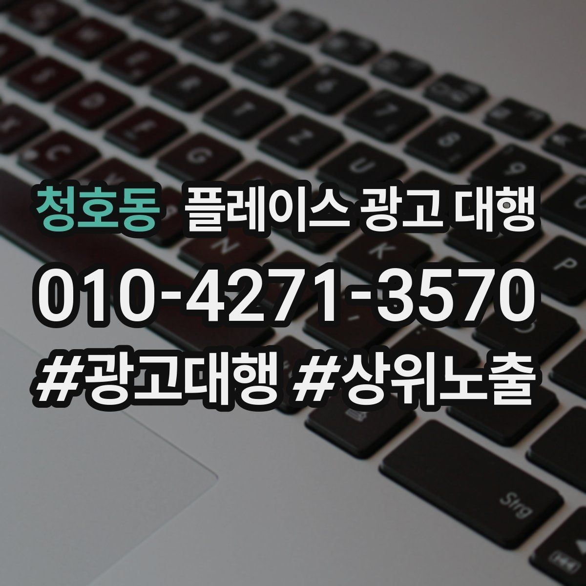 청호동 플레이스 광고 대행 노출 개선에 필요한 기본 점검